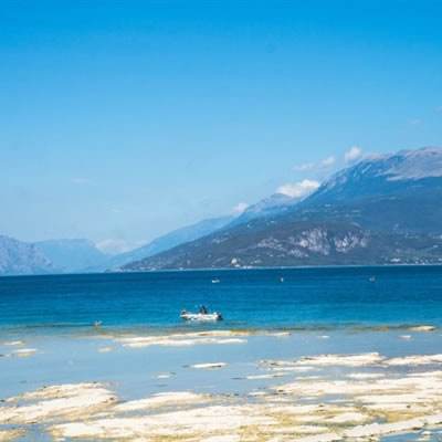 5848vip威尼斯电子游戏截图