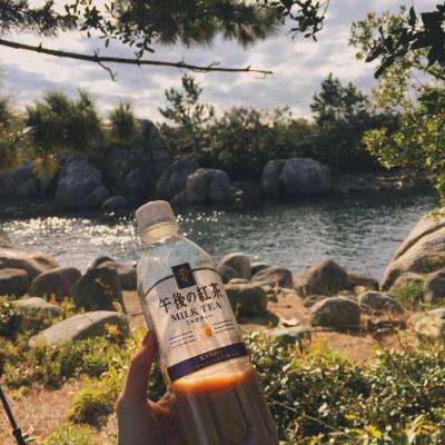 半岛棋牌游戏手机app下载