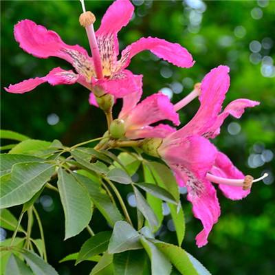 ld乐动体育·中国登录入口