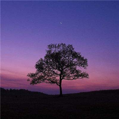 澳门正版资料大全